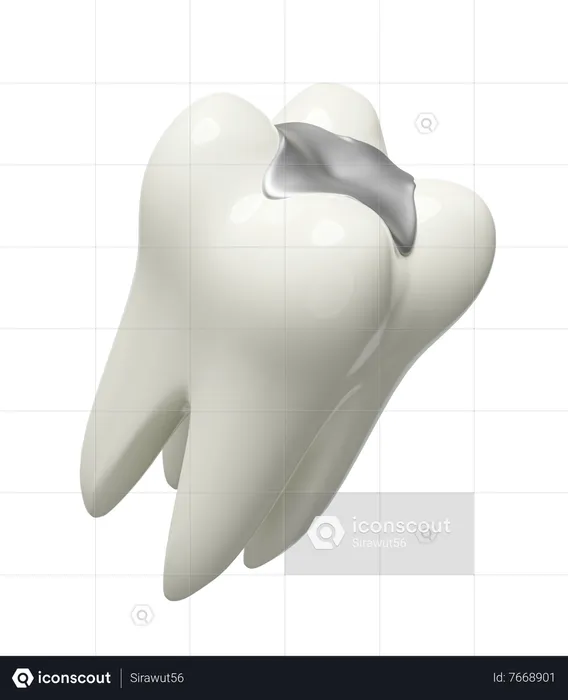 Molar teeth model  3D Illustration