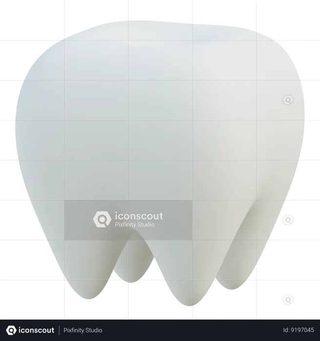 Molar Tooth  3D Icon