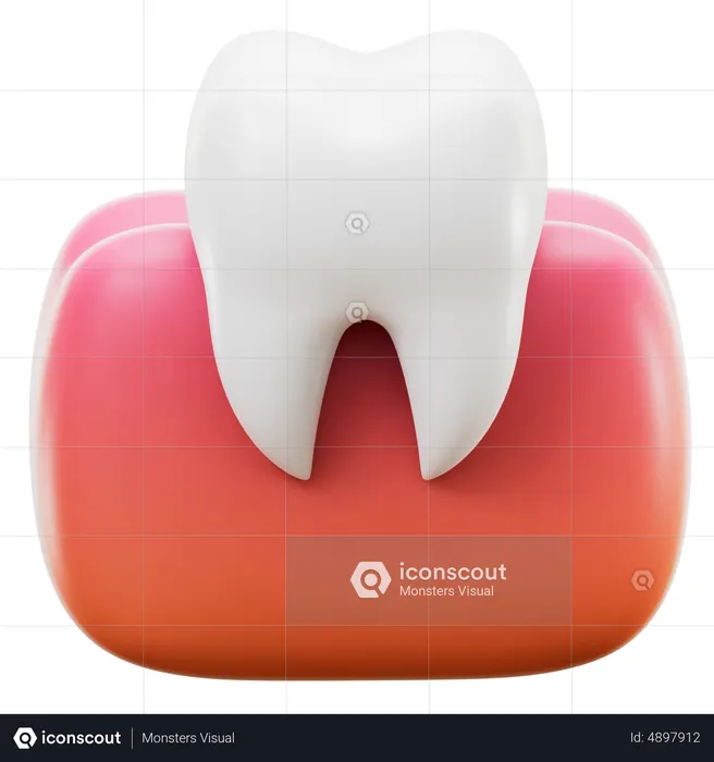 Molar Tooth  3D Icon