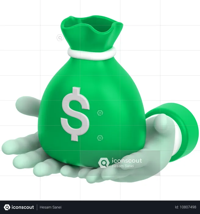 Money Bag Hand  3D Icon