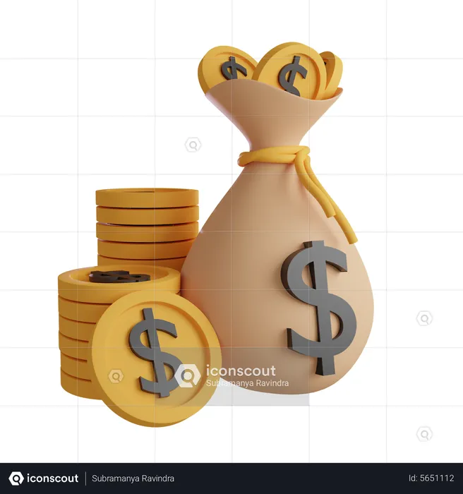 Money Bag With Coin  3D Icon