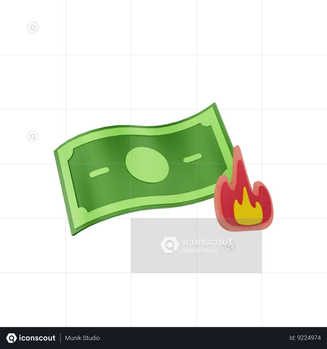 Money Burn  3D Icon