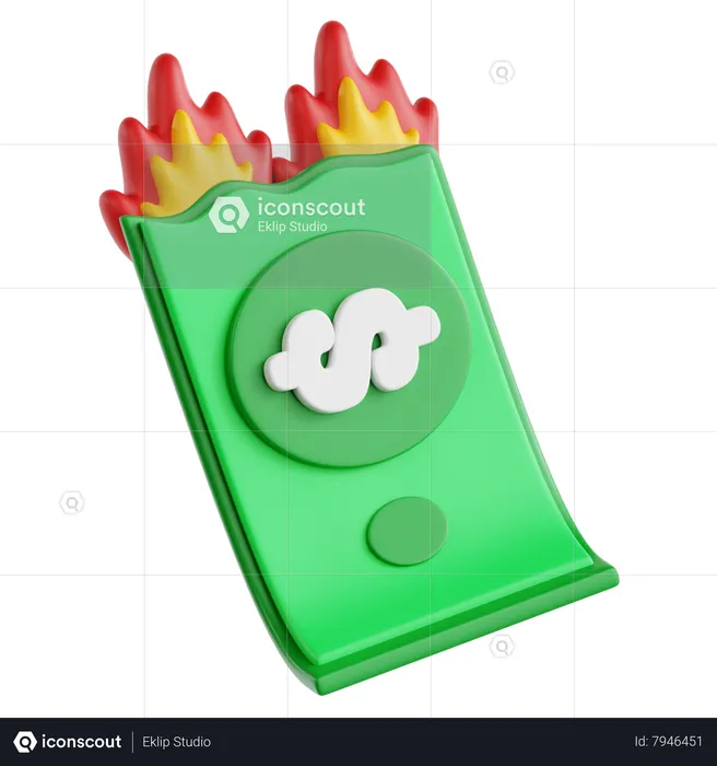 Money On Fire  3D Icon