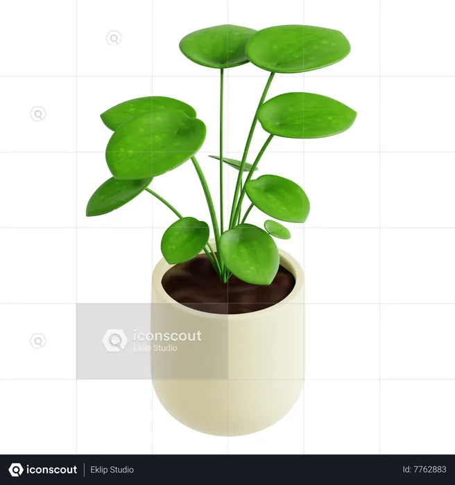 Money Plant  3D Icon