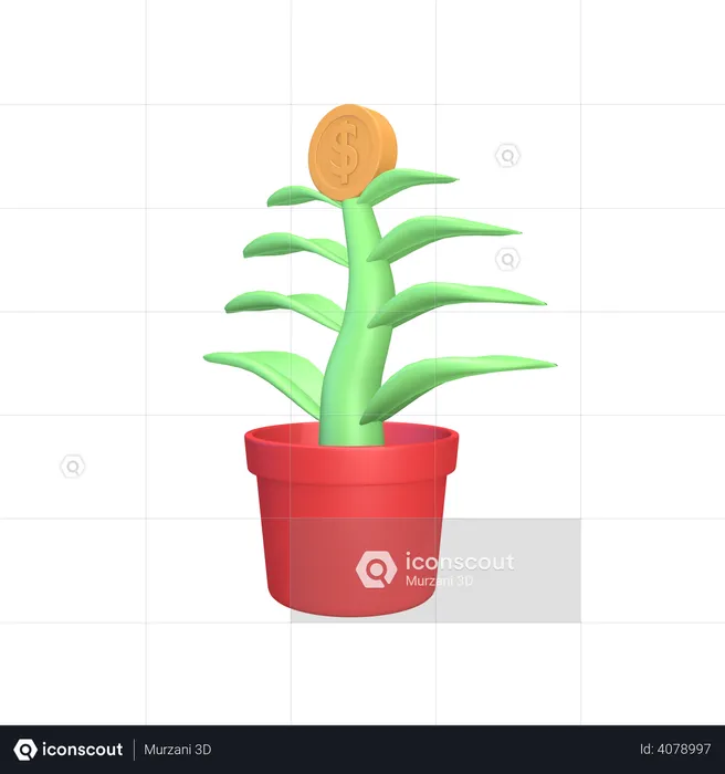 Money plant  3D Illustration