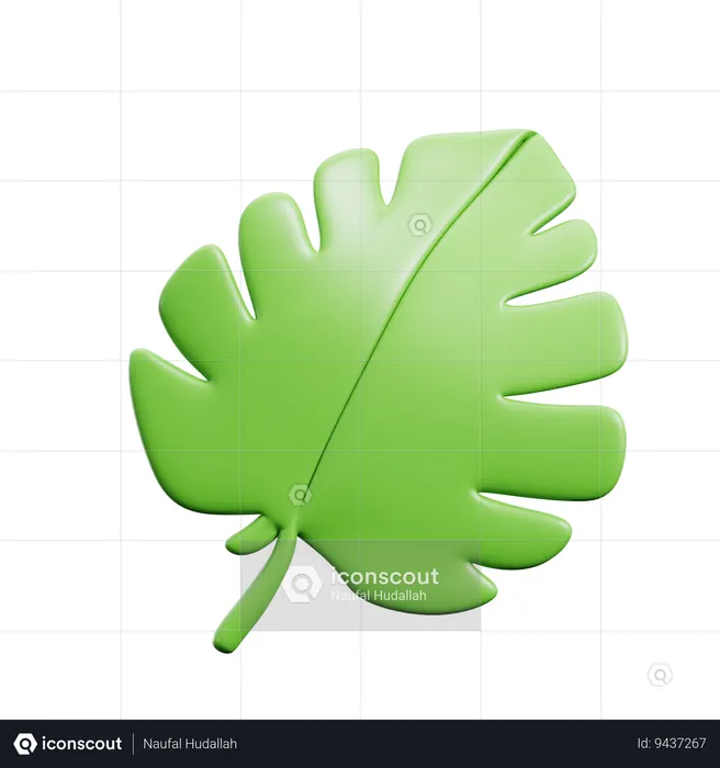 Monstera Leaf  3D Icon