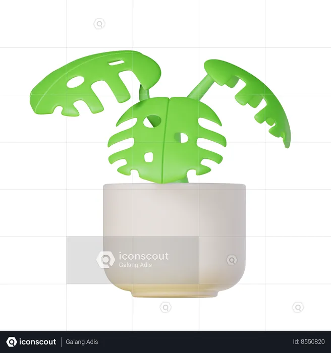 Monstera Plant  3D Icon