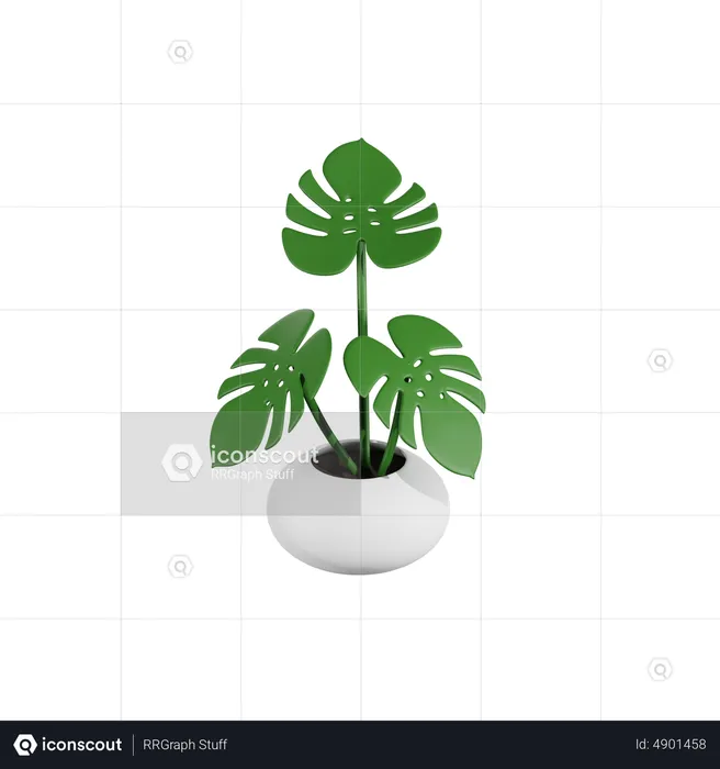 Monstera Plant  3D Icon