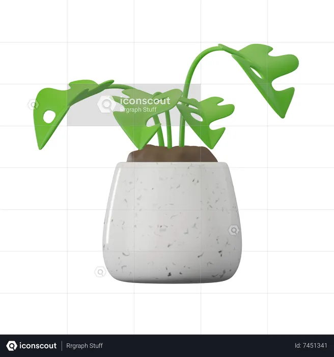 Monstera Plant  3D Icon