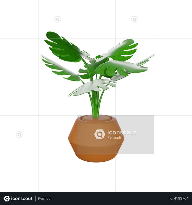 Monstera Plant 3D Illustration