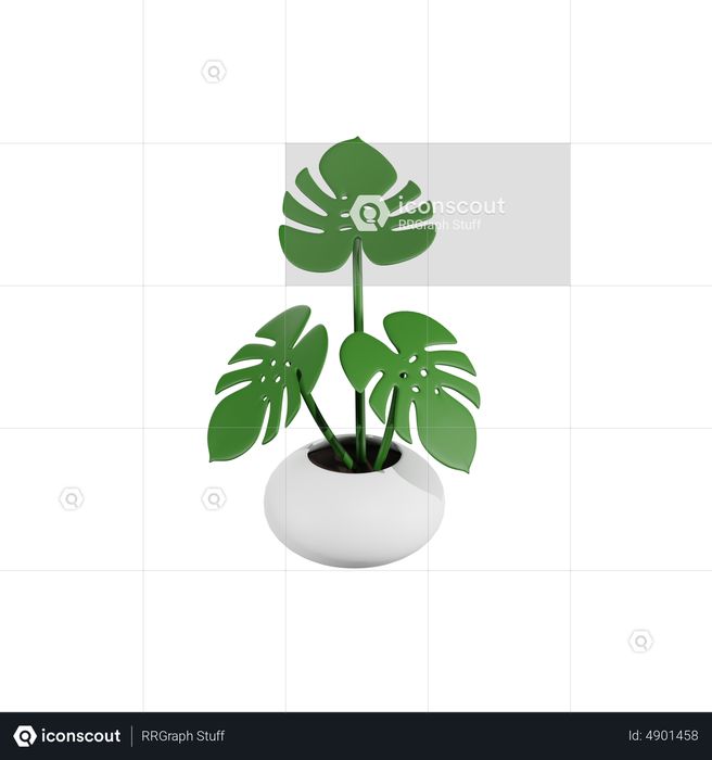 Monstera Plant 3D Icon