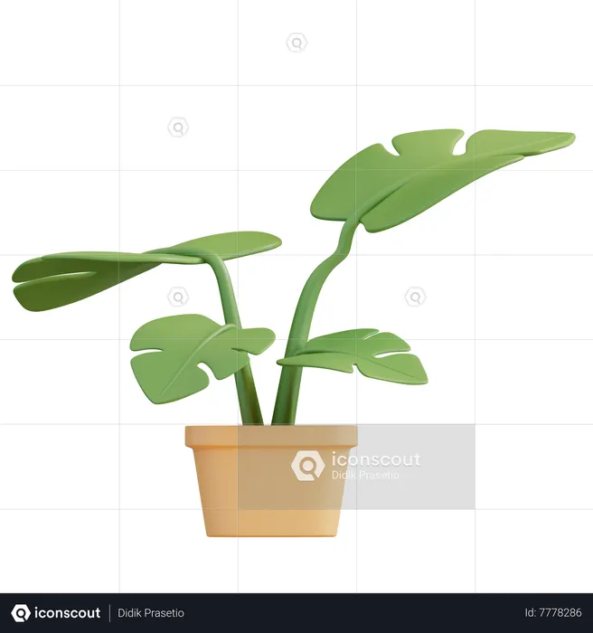 Monstera Plant  3D Icon