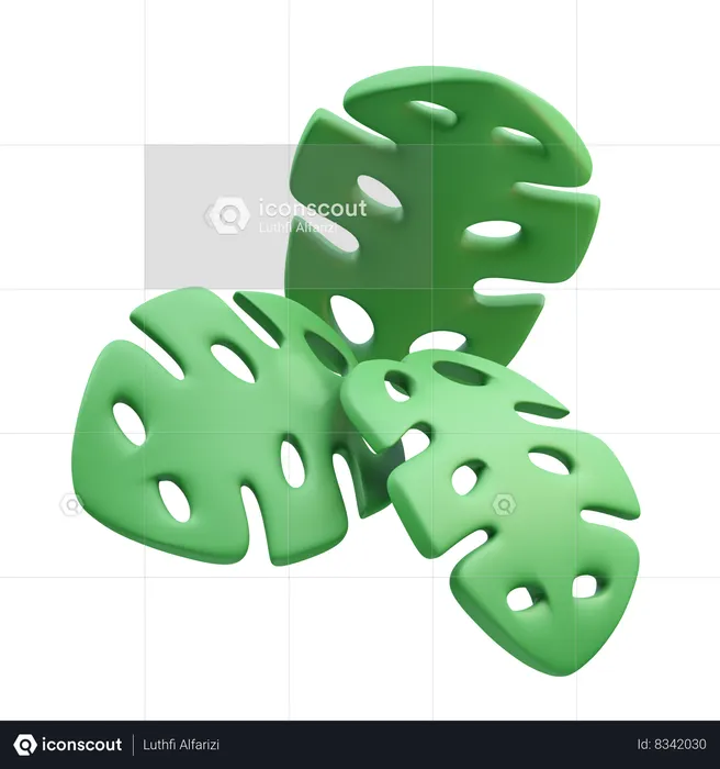 Monsterra  3D Icon