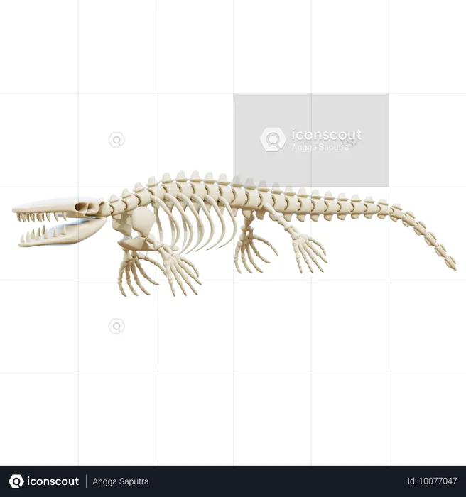 Mosasaurus  3D Icon