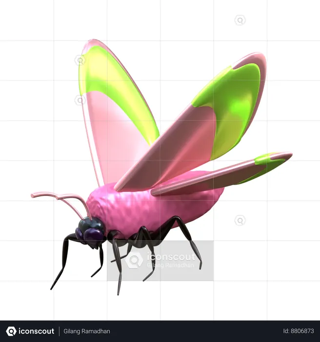 Moth  3D Icon