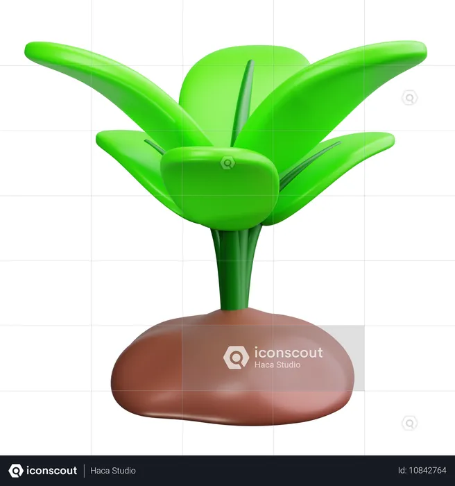 Plantinha  3D Icon