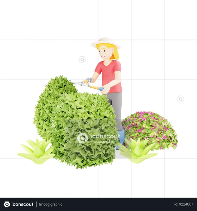 Mujer jardinería manteniendo boj  3D Illustration