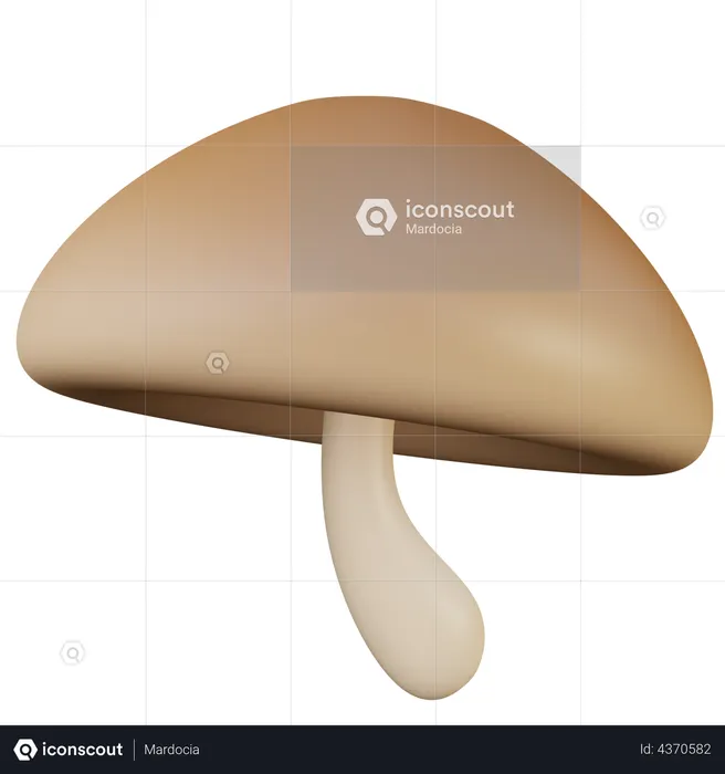 Mushroom  3D Illustration
