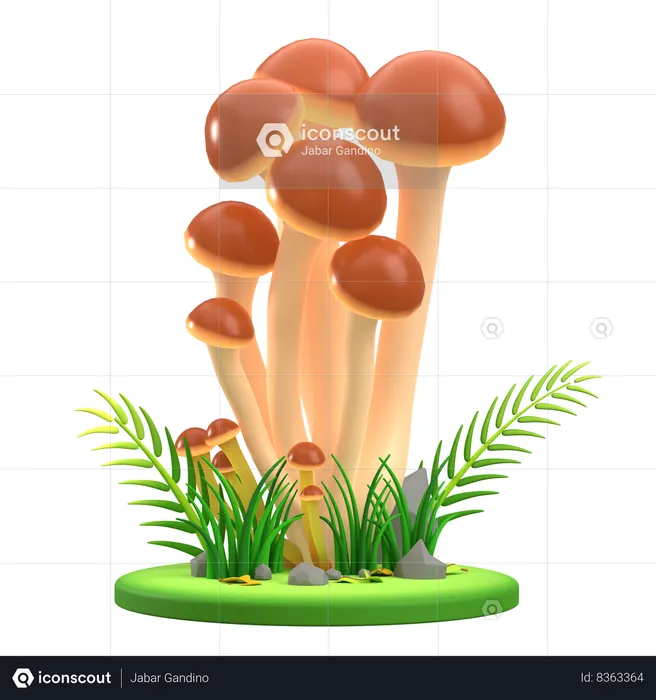 Mushroom Brown cluster  3D Icon