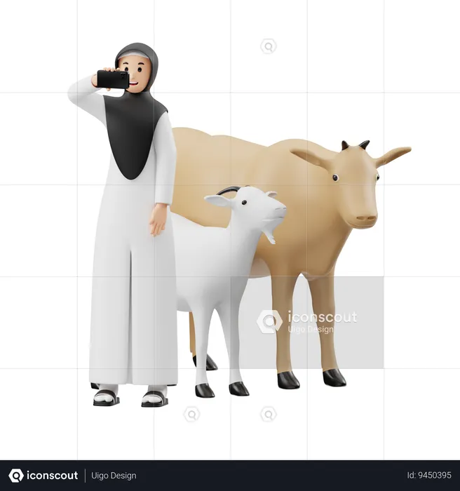 Muslim Woman Taking Selfie In Front Of Sacrificial Animal  3D Illustration