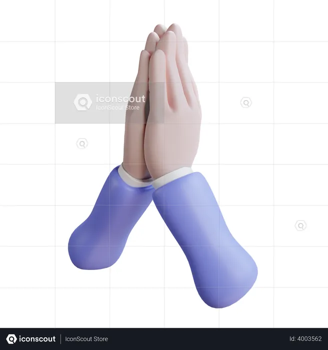Namaste Hand Gesture  3D Icon