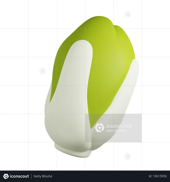 Napa cabbage  3D Icon