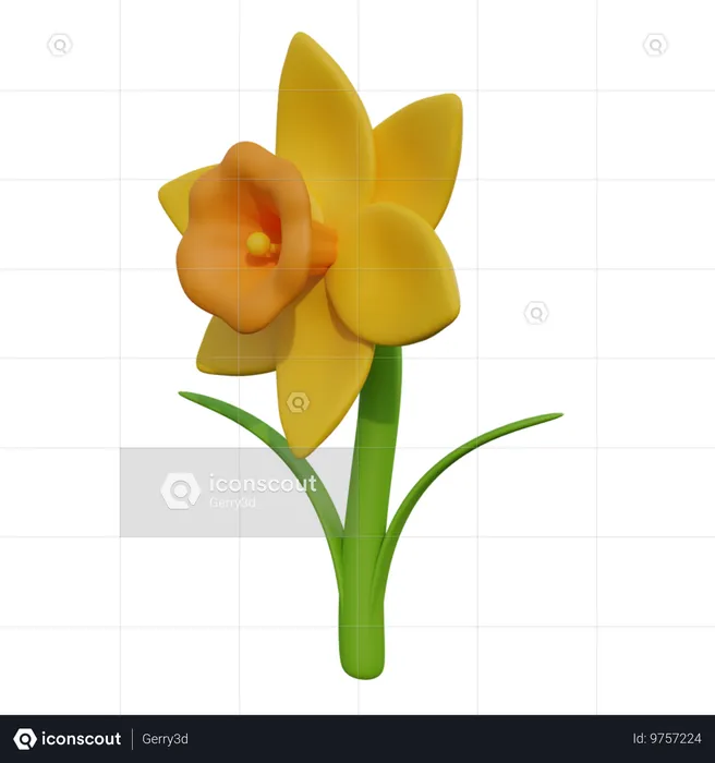 Narciso  3D Icon