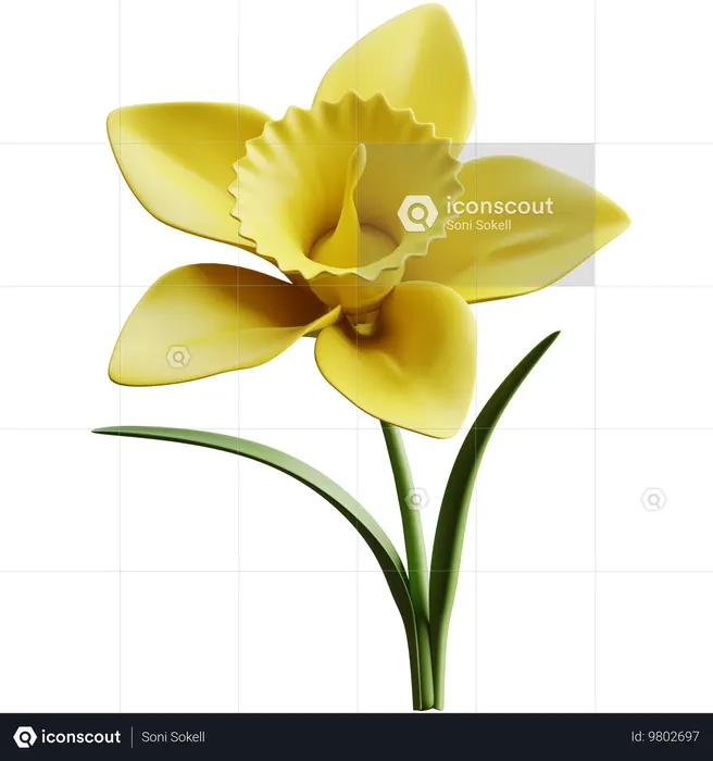 Narciso  3D Icon