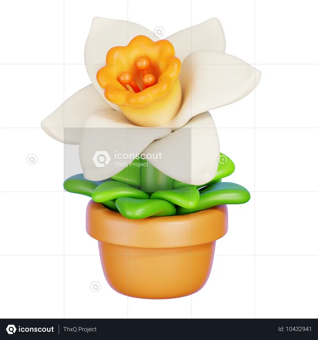 Narcisos  3D Icon