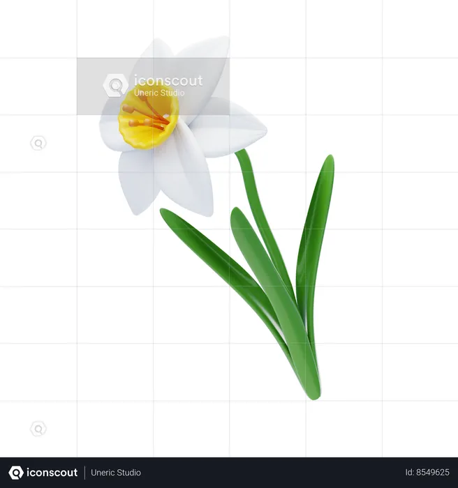 Narcissus  3D Icon