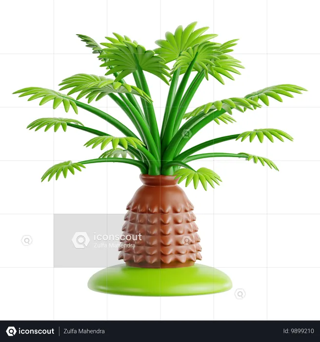 Needle Palm  3D Icon