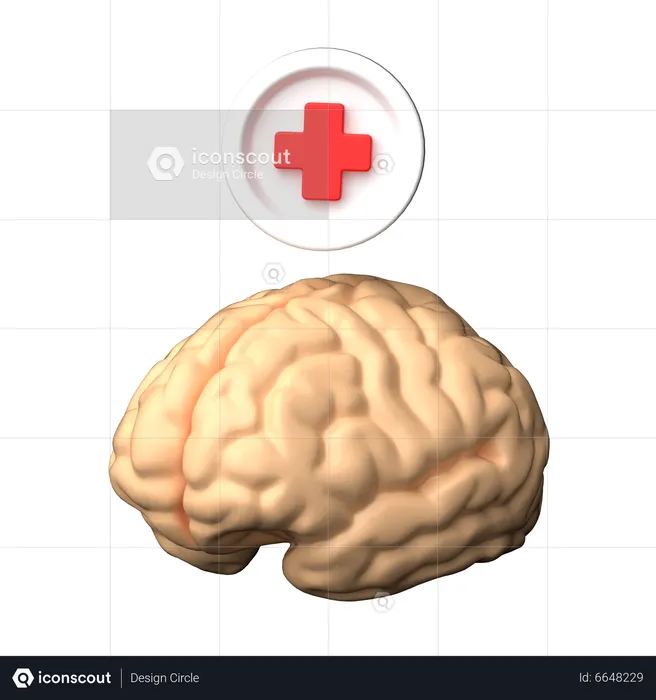 Neurology  3D Icon
