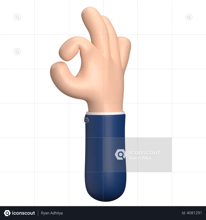 Nice Hand Gesture  3D Illustration