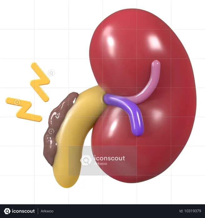 Nierenversagen  3D Icon