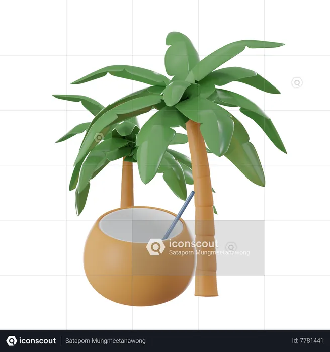 Noix de coco  3D Icon