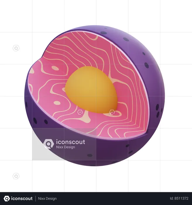 Nucleus  3D Icon