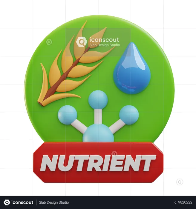 Nutritivo  3D Icon