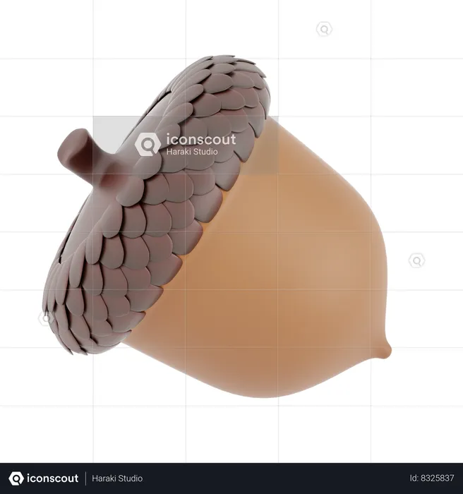 Oak Nuts  3D Icon