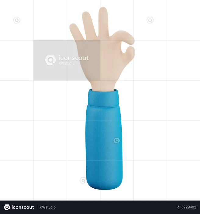 Ok Finger Hand Gesture  3D Icon