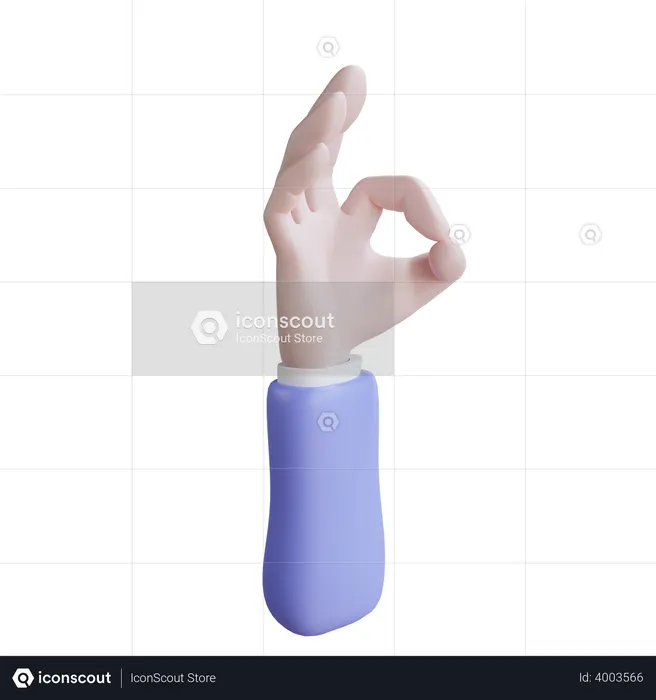 Ok hand gesture  3D Icon