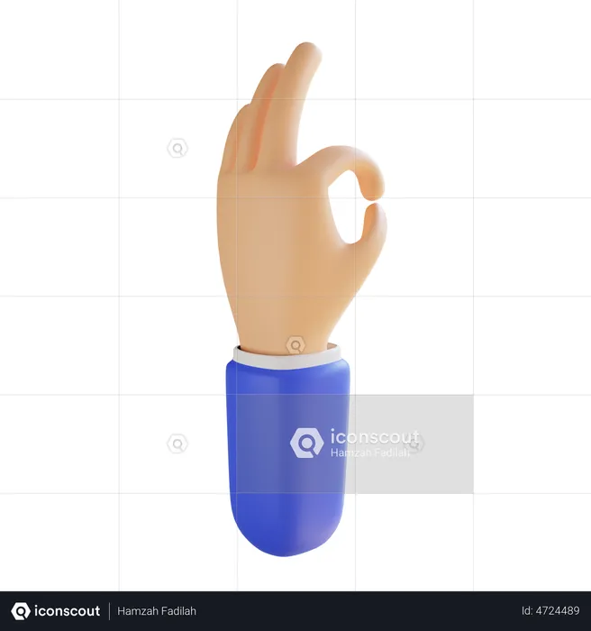 Ok Hand Gesture  3D Illustration