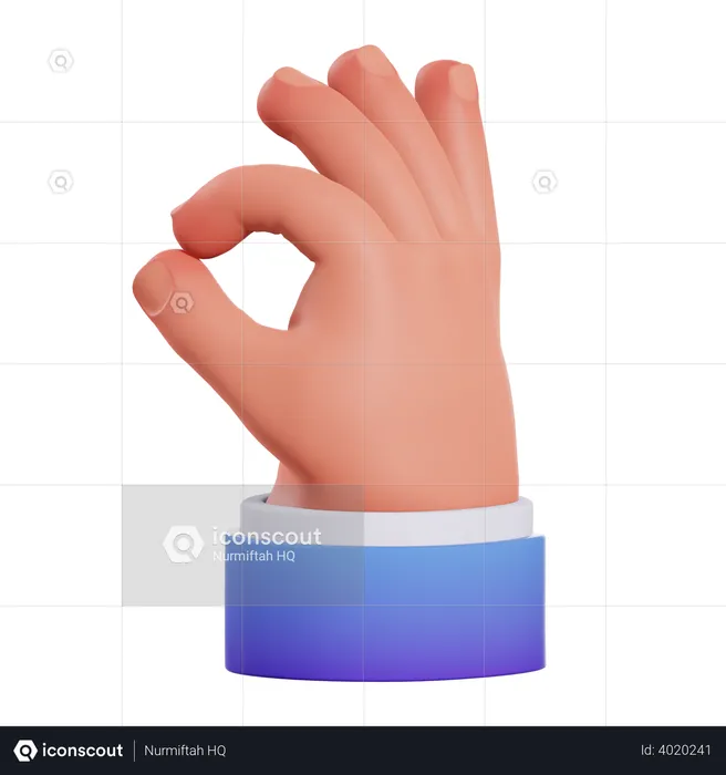 Ok Hand gesture  3D Illustration