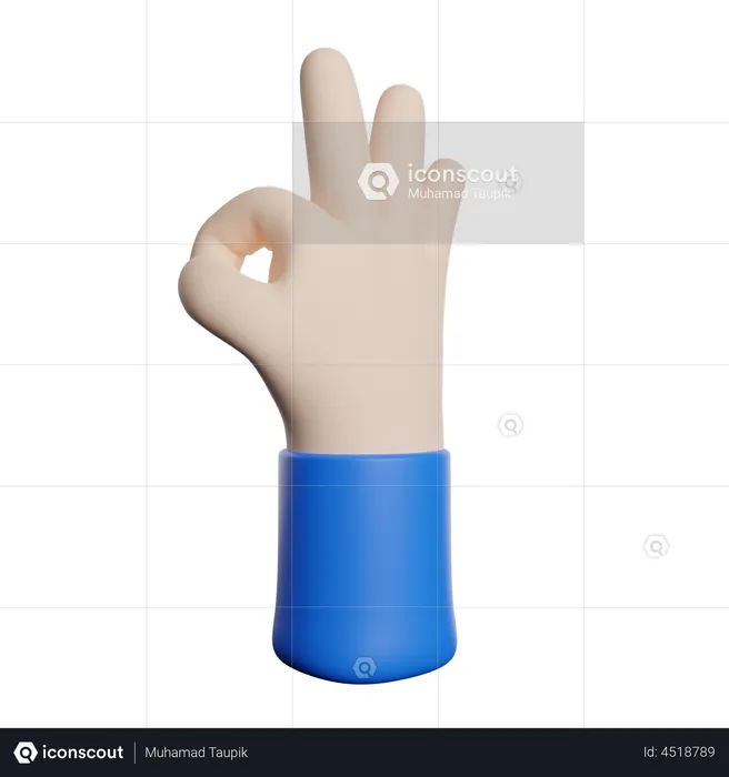 Ok Hand Gesture  3D Illustration