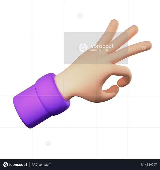 Ok firmar gesto con la mano  3D Icon