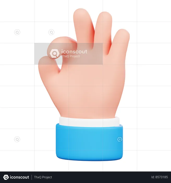 Okay Hand Gesture Emoji 3D Icon