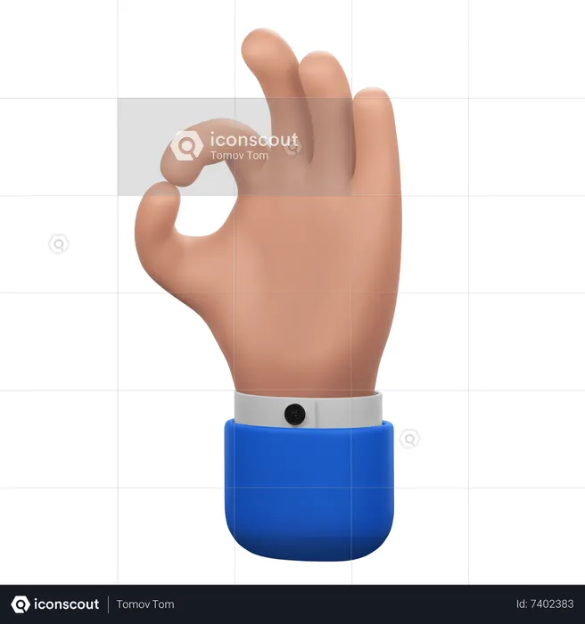 Okay Hand Gesture  3D Icon