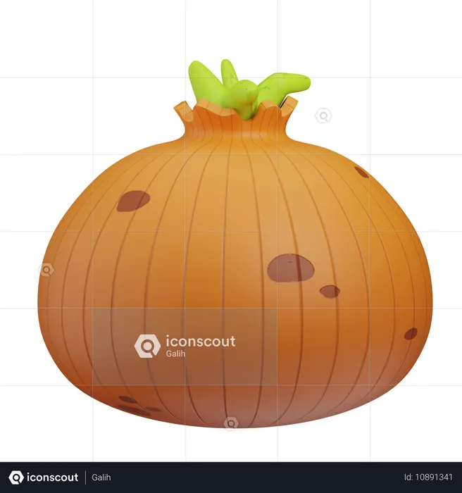 Onion  3D Icon