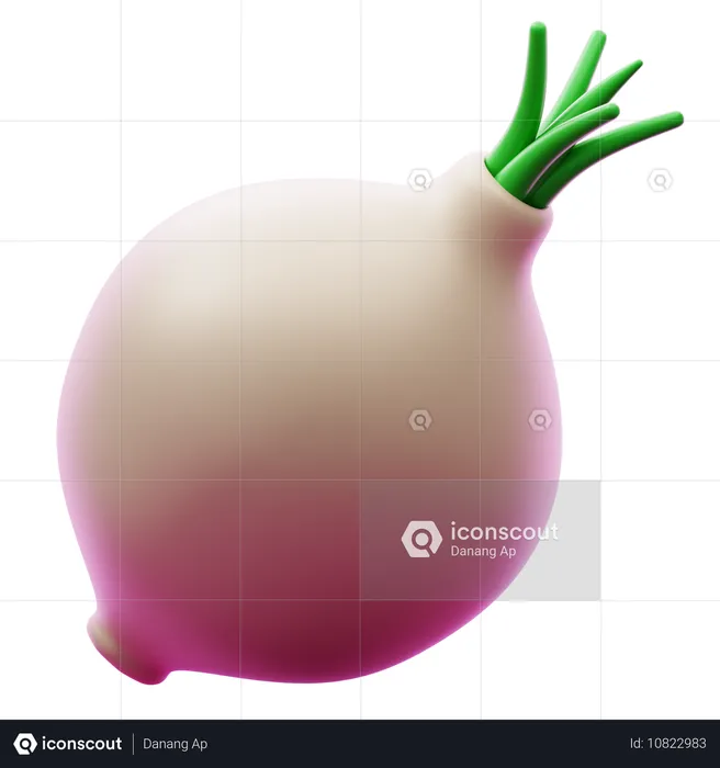 ONION BOMBAI  3D Icon