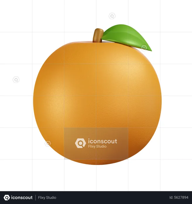 Orange  3D Icon