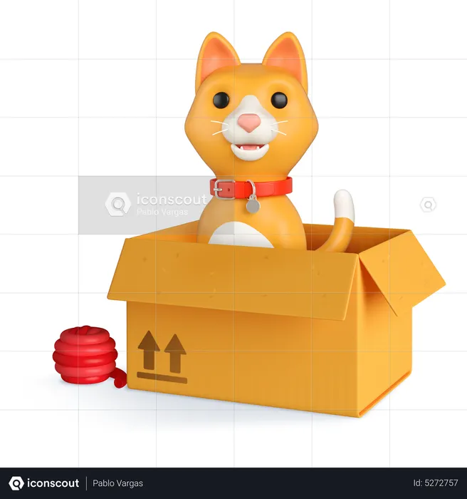 Orange cat box  3D Icon